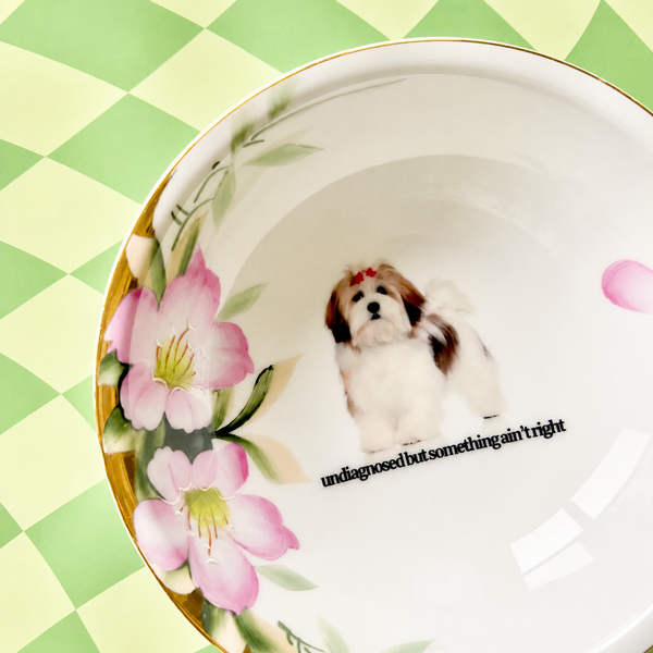 Undiagnosed But Something Ain't Right Vintage Bowl