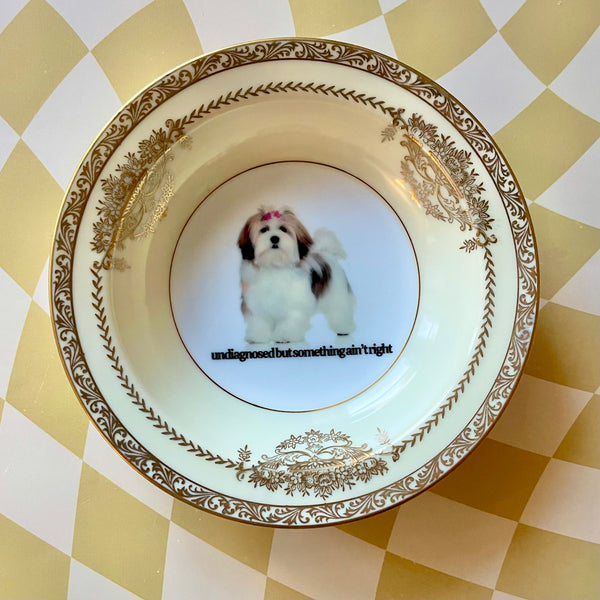 Undiagnosed But Something Ain't Right Vintage Bowl
