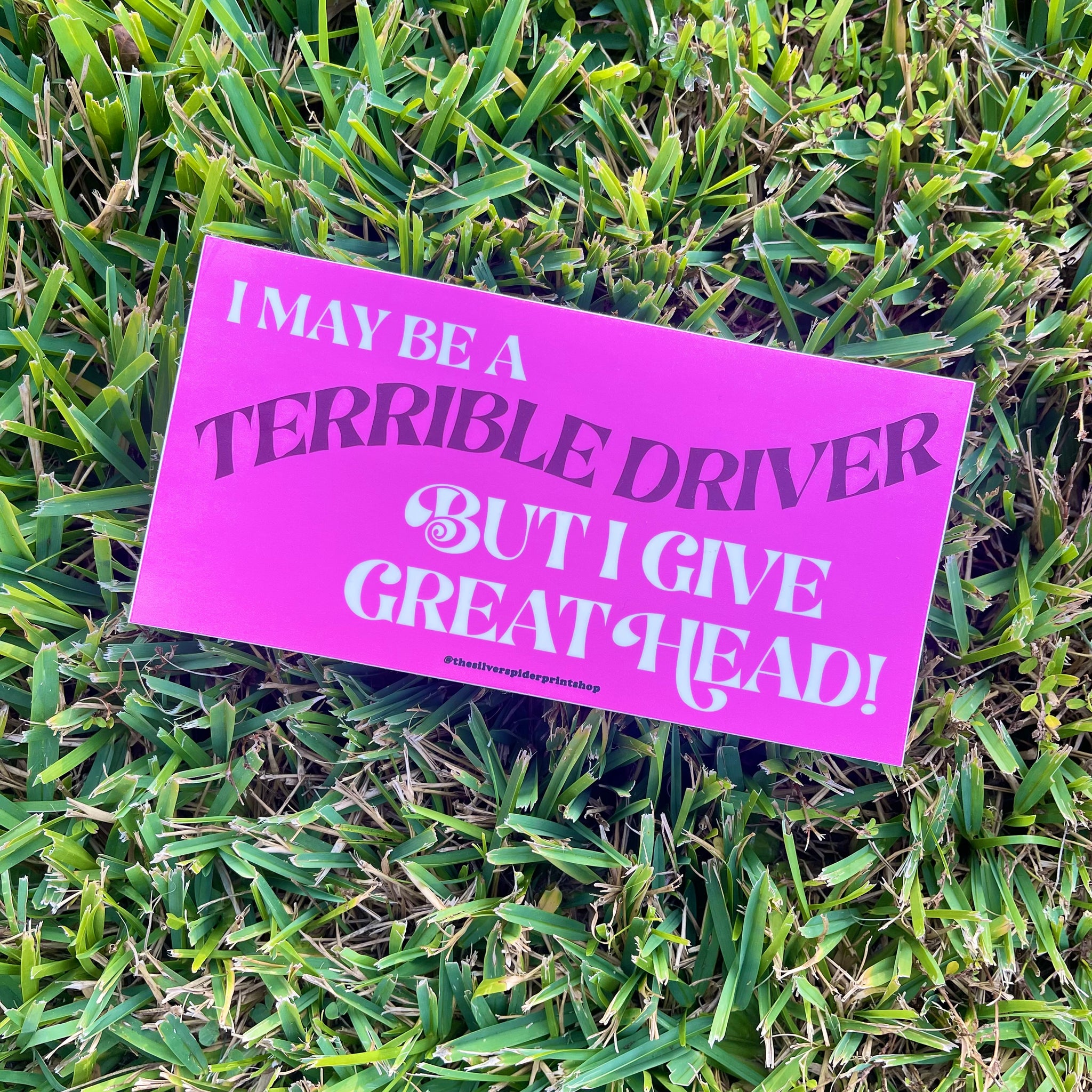 I May Be A Terrible Driver Bumper Sticker