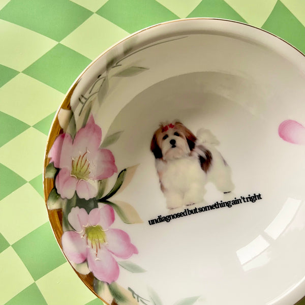 Undiagnosed But Something Ain't Right Vintage Bowl