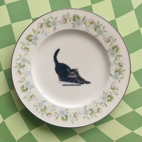 My Human Hates Everyone Vintage Trinket Dish