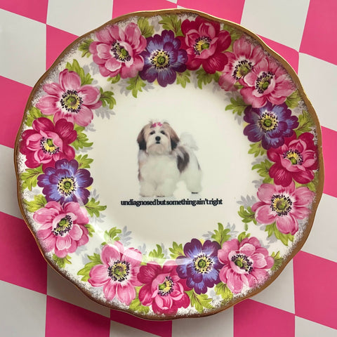 Undiagnosed But Something Ain't Right Vintage Trinket Dish