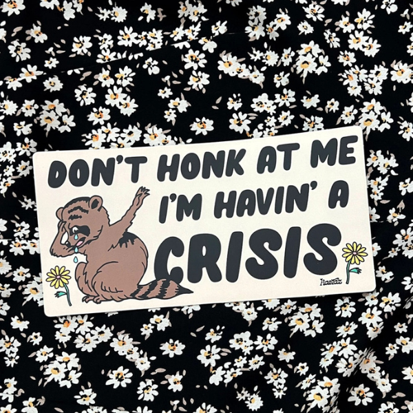 Don't Honk At Me Bumper Sticker