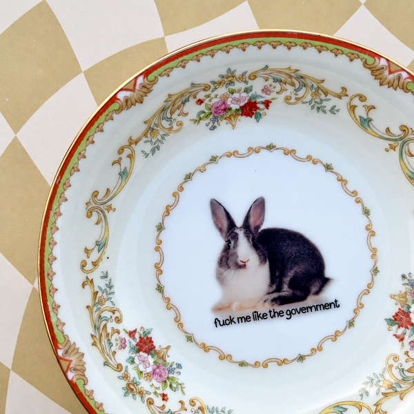 F*ck Me Like The Government Vintage Mini Bowl 5"