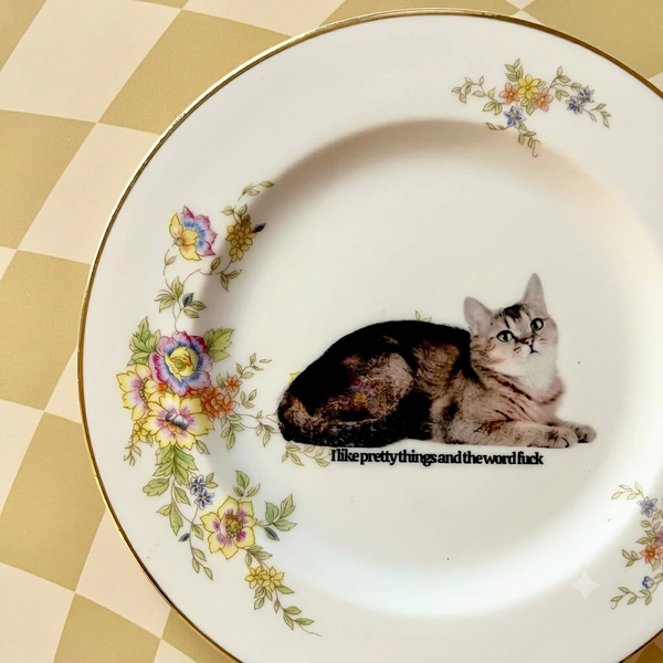 I Like Pretty Things And The Word F*ck Vintage Plate