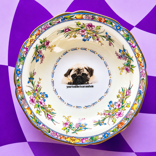 Your Toddler Is An Asshole Vintage Mini Bowl