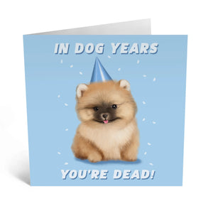 In Dog Years Birthday Greeting Card