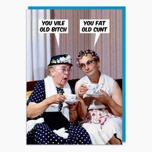 You V*le Old B*tch Greeting Card